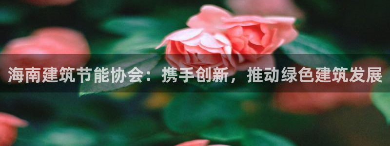 e尊国际官方网站：海南建筑节能协会：携手创新，推动绿色建筑发展