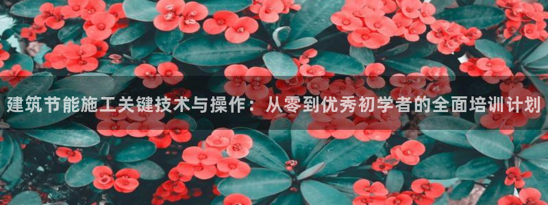 e尊国际是个黑网：建筑节能施工关键技术与操作：从零到优秀初学者的全面培训计划