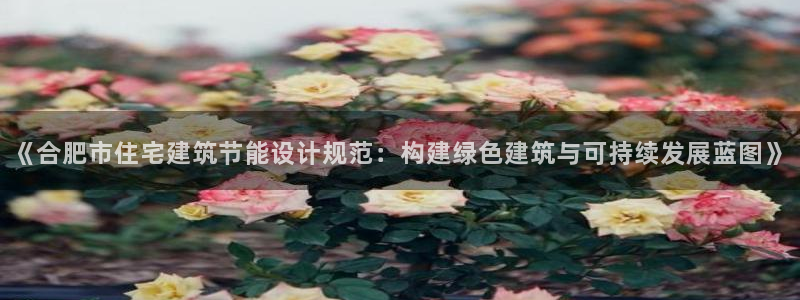 e尊国际网址：《合肥市住宅建筑节能设计规范：构建绿色建筑与可持续发展蓝图》