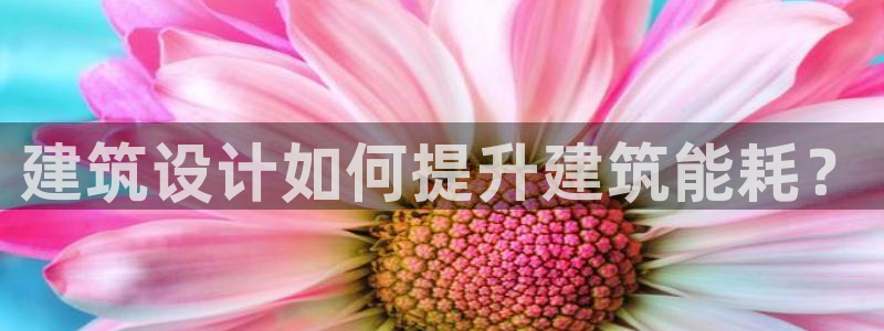 e尊国际-可可计划：建筑设计如何提升建筑能耗？