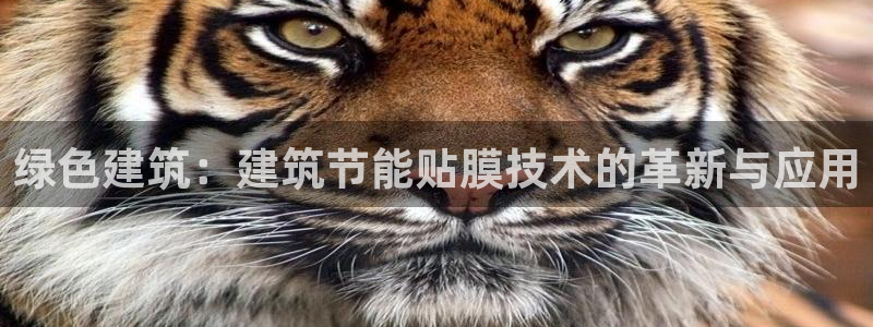 尊亿游戏国际官网：绿色建筑：建筑节能贴膜技术的革新与应用
