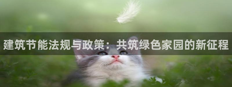 e尊国际客服：建筑节能法规与政策：共筑绿色家园的新征程