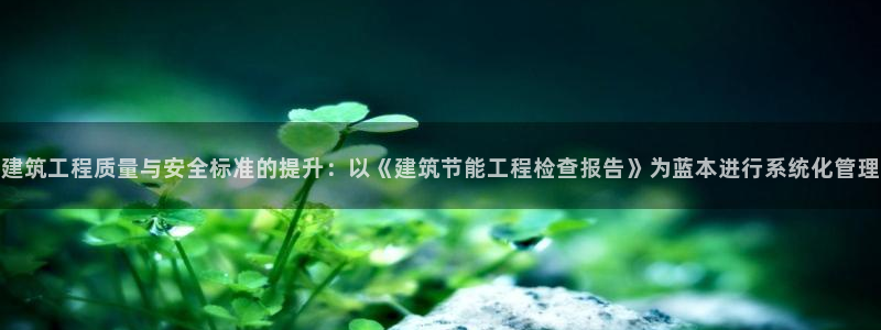 e尊平台：建筑工程质量与安全标准的提升：以《建筑节能工程检查报告》为蓝本进行系统化管理