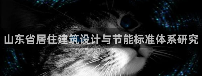谁知道e尊国际的网址：山东省居住建筑设计与节能标准体系研究