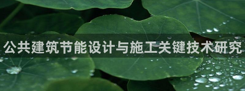 e尊国际的手机登录网站：公共建筑节能设计与施工关键技术研究