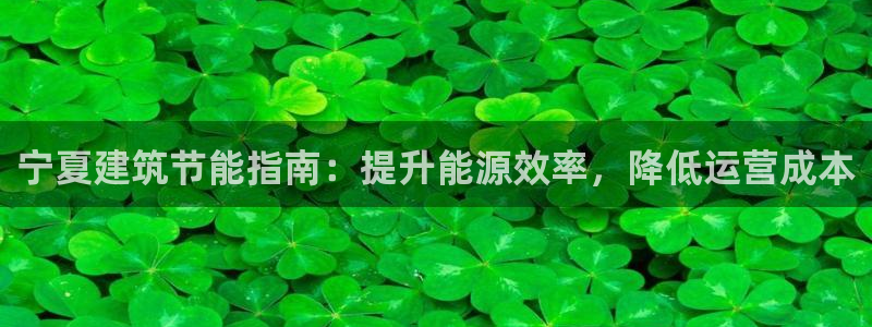 e尊国际官网：宁夏建筑节能指南：提升能源效率，降低运营成本