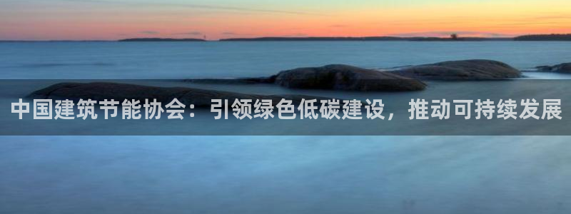 e尊国际平台：中国建筑节能协会：引领绿色低碳建设，推动可持续发展