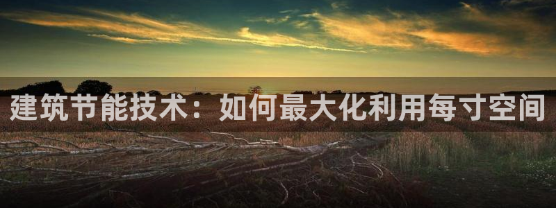 e尊国际娱乐官网地址：建筑节能技术：如何最大化利用每寸空间