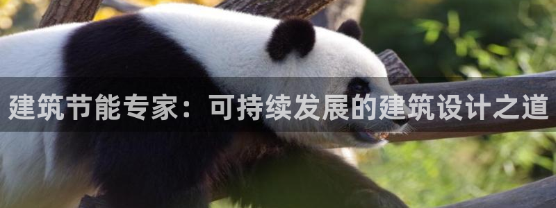e尊国际官网·网址：建筑节能专家：可持续发展的建筑设计之道