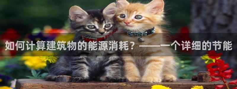 e尊国际客户端下载：如何计算建筑物的能源消耗？——一个详细的节能