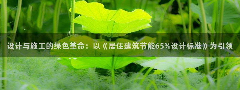 e尊国际官方网站：设计与施工的绿色革命：以《居住建筑节能65%设计标准》为引领