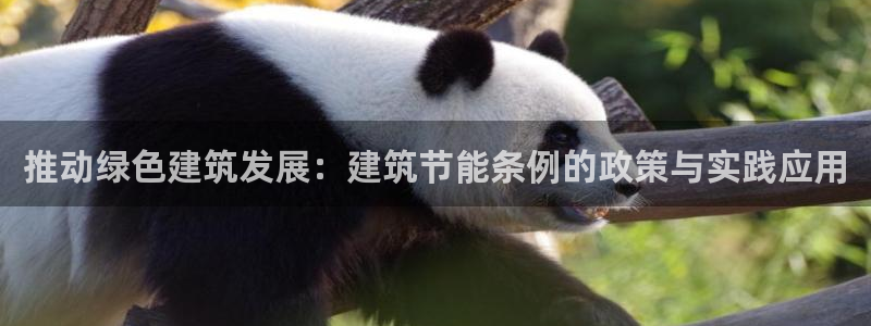 e尊国际是干什么的：推动绿色建筑发展：建筑节能条例的政策与实践应用