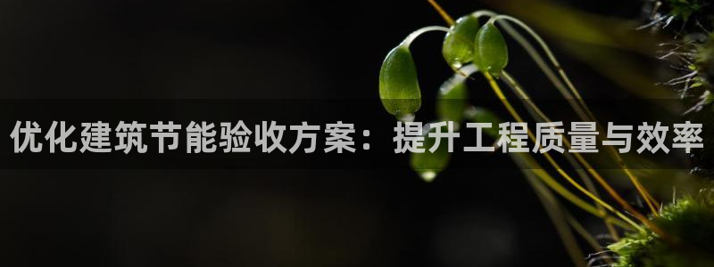 E尊国际网站：优化建筑节能验收方案：提升工程质量与效率