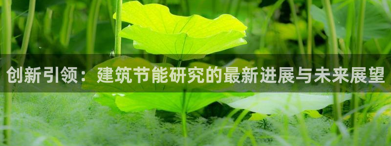 e尊平台：创新引领：建筑节能研究的最新进展与未来展望