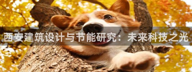 尊亿娱乐国际官网：西安建筑设计与节能研究：未来科技之光