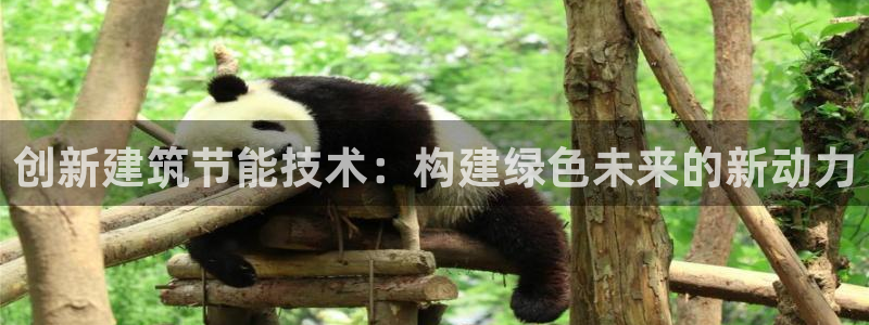 e尊国际客户端下载