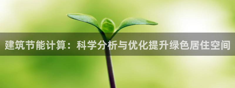 谁知道e尊国际的网址：建筑节能计算：科学分析与优化提升绿色居住空间