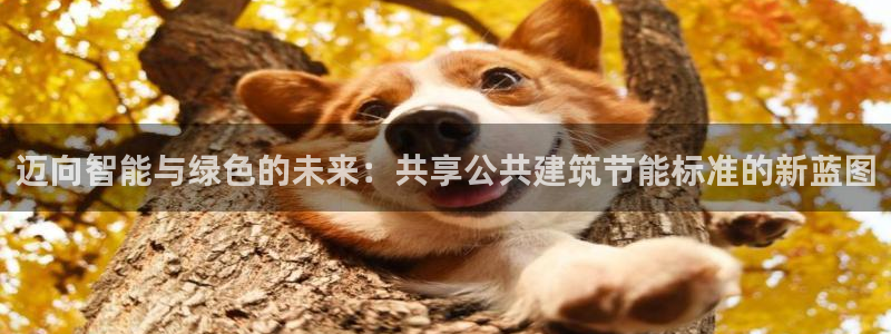 e尊国际app：迈向智能与绿色的未来：共享公共建筑节能标准的新蓝图