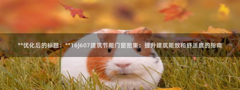 e尊国际客户端下载：**优化后的标题：**16J607建筑节能门窗图集：提升建筑能效和舒适度的指南
