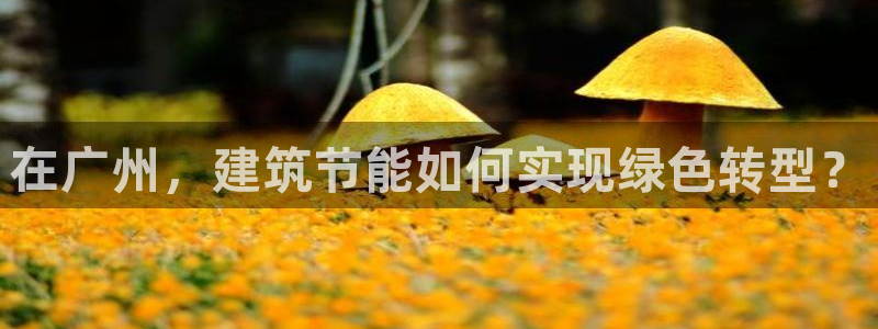 e尊国际娱乐官网下载：在广州，建筑节能如何实现绿色转型？