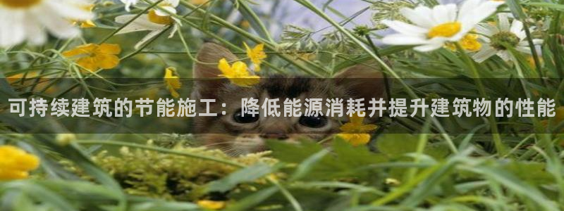 e尊国际官网·网址：可持续建筑的节能施工：降低能源消耗并提升建筑物的性能
