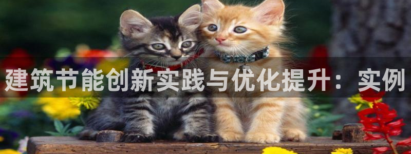 e尊国际app：建筑节能创新实践与优化提升：实例