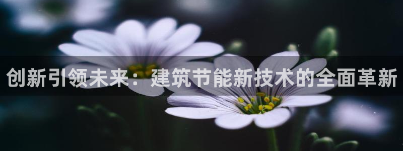 e尊国际网址：创新引领未来：建筑节能新技术的全面革新