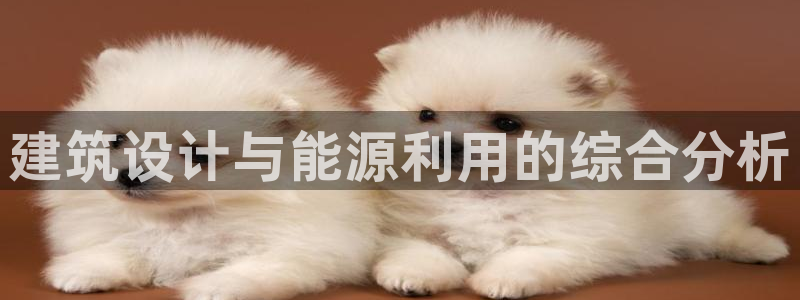 e尊国际客户端下载：建筑设计与能源利用的综合分析