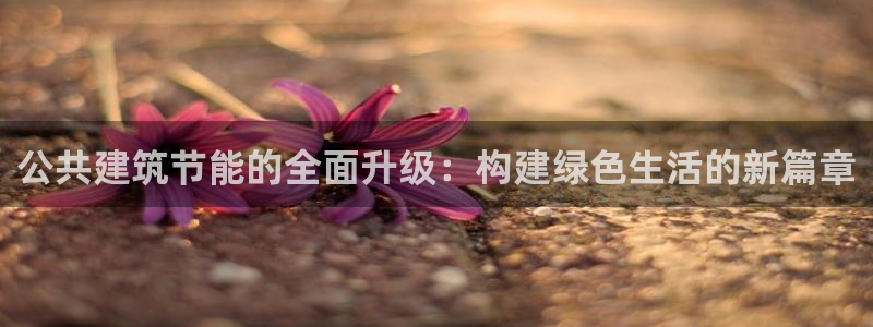 e尊国际平台：公共建筑节能的全面升级：构建绿色生活的新篇章