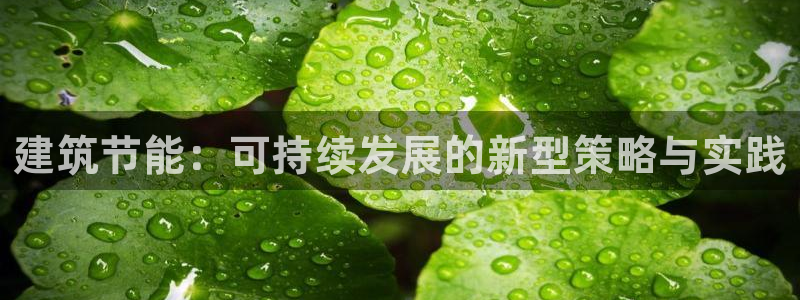 e尊国际的手机登录网站：建筑节能：可持续发展的新型策略与实践