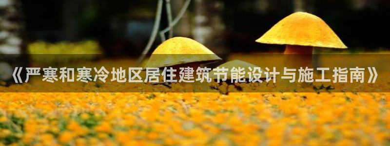 尊亿游戏国际官网：《严寒和寒冷地区居住建筑节能设计与施工指南》