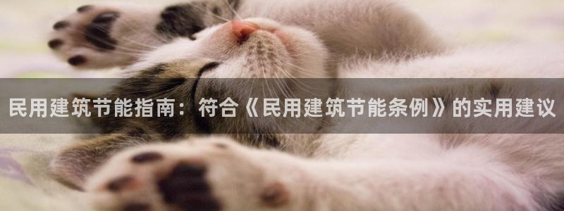 e尊国际-可可计划：民用建筑节能指南：符合《民用建筑节能条例》的实用建议