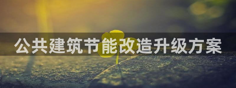 e尊国际是个黑网：公共建筑节能改造升级方案
