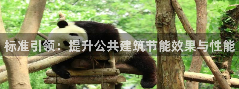 e尊国际是干什么的：标准引领：提升公共建筑节能效果与性能