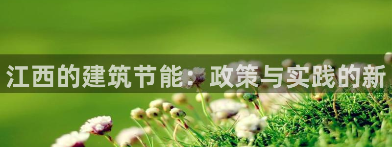 e尊国际客户端：江西的建筑节能：政策与实践的新