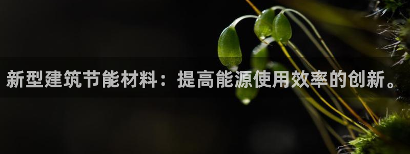 e尊国际地址：新型建筑节能材料：提高能源使用效率的创新。