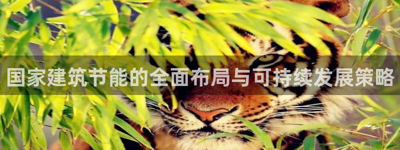 e尊国际是个黑网